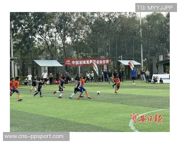 浙江足球协会推动地方足球发展助力青少年成长与职业联赛提升